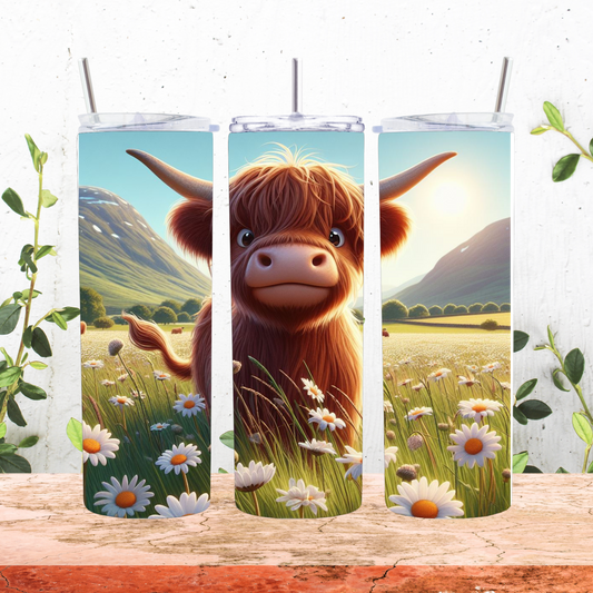 Highland cow in a field of daisies 20 oz tumbler