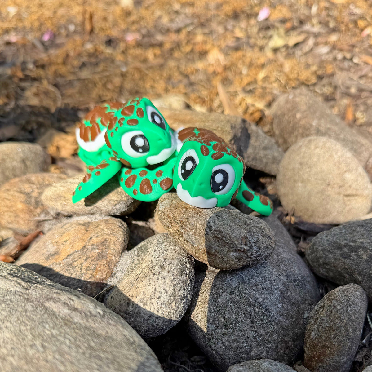 Two bright green flexi sea turtles on rocks